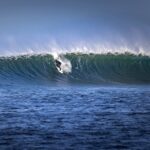 Scottish surfers