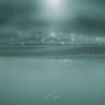 Scottish Young Surfers