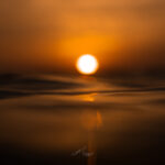 Scottish Young Surfers