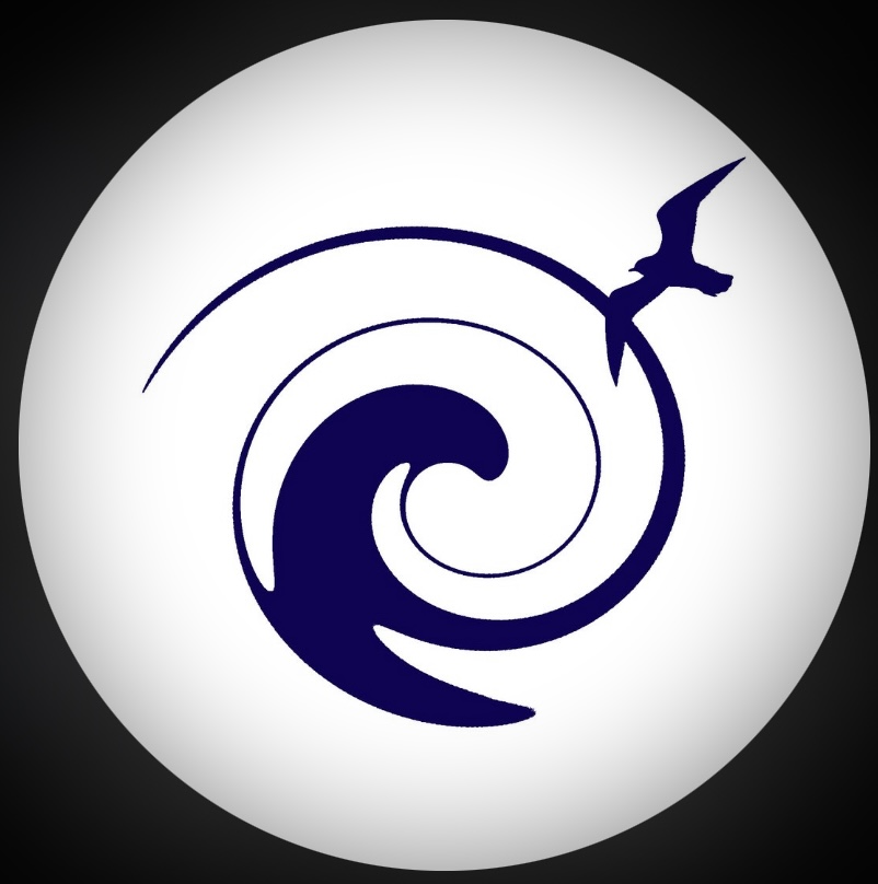 Surf School Scotland